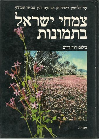 צמחי ישראל בתמונות