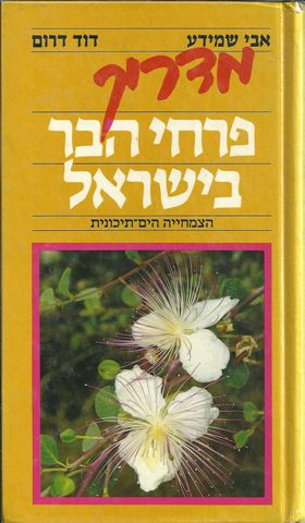מדריך פרחי הבר בישראל
