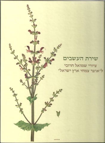 ציורי שמואל חרובי ל"אוצר צמחי ארץ ישראל"