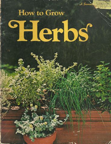 HOW TO GROW HERBS